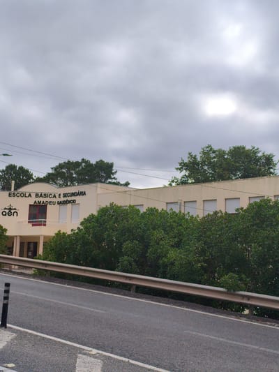 The image depicts the exterior of "ESCOLA BÁSICA E SECUNDÁRIA AMADEU GAUDÊNCIO" in Nazaré, Portugal. The school building is a light-colored, two-story structure with a sign indicating its name. In front of the building, there is a dense line of green bushes and trees. A silver metal guardrail runs along the edge of a paved road that slopes downward from the foreground. To the left of the road, a black and white striped traffic bollard is visible. The sky is overcast with some patches of brighter light. The overall scene suggests a school environment in a somewhat rural or suburban setting within Nazaré.