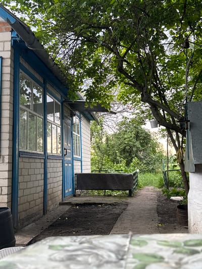 This image captures a scene in the city of Novyi Tahamlyk, Ukraine. The perspective is from ground level, looking towards the side of a white brick building with blue trim around the windows and door. A tree with lush green leaves overhangs the building and casts shadows on the scene. A paved walkway leads away from the building into a densely vegetated area with tall grass. To the left of the walkway, there's a patch of dark soil. A dark-colored bench with a patterned cushion sits on the walkway. A black barrel is visible to the far left, and a rusty metal bucket is on the ground to the right. The overall atmosphere suggests a rural or semi-rural setting, possibly a backyard or garden.