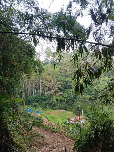 The image presents a downward view into a dense, verdant forest valley, indicative of the natural landscape around Nebilver (Tegal) Admin Centre in Papua New Guinea. The foreground is dominated by a natural frame of lush green bamboo branches and leaves, partially obscuring the upper and side edges of the scene.
A rustic dirt path, appearing to be composed of packed earth and rocks, descends into the valley from the lower center of the frame. A simple wooden railing made of poles runs along the left side of this path, guiding the descent. In the middle ground, on a cleared, grassy area, several man-made structures are visible. On the left side of this clearing, two distinct blue objects, possibly small tents or shelters, stand out against the green. On the right, a larger structure with a prominent red and white tarp or tent roof is present.
The background and surrounding hillsides are covered in thick, diverse vegetation. Tall, slender trees, possibly conifers, form a noticeable line in the distance. Other tree species, including a palm-like tree with lighter fronds, are interspersed throughout the dense green canopy. The overall setting is that of a rich, natural forest.
The time of day appears to be daytime, likely overcast or featuring soft, diffused light, as there are no strong shadows. The scene evokes a tranquil, natural ambiance, with the tents suggesting a camping ground or a temporary human presence within the wilderness. No people are visible, and no specific activities are taking place. There is no visible text in the image.