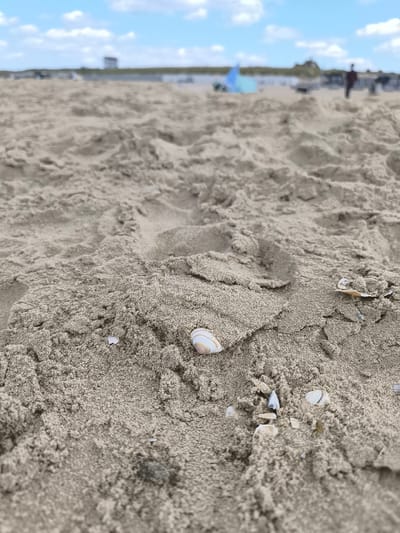 The image depicts a sandy beach, likely in Bergen, Netherlands. The foreground is dominated by coarse sand, with several small seashells scattered throughout. In the background, the beach stretches towards the horizon, where blurred figures of people can be seen. A blue beach tent is also visible. The sky is partly cloudy with patches of blue. The overall scene conveys a sense of a typical day at the beach.