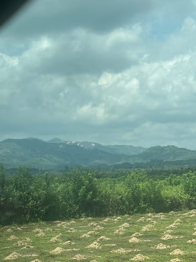 The image depicts a landscape with layered terrain, beginning with a foreground of mounded green grass. Behind this, a dense band of green trees forms a midground. Further back, rolling hills covered in vegetation recede into the distance, culminating in hazy, mountainous peaks. The sky is overcast with various shades of gray and blue clouds. There is no indication of human presence or activity in the image, nor any specific landmarks or structures that would pinpoint a location within Dak Ro Wa, Vietnam. The scene is a natural, undeveloped vista.