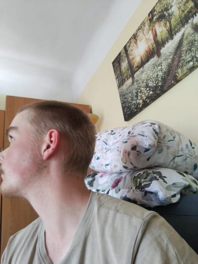 This is a medium shot, taken from the side, of a young man's head and shoulders. He has short, light brown hair and a light beard. His head is turned to the left, and he is looking slightly upward. His skin is fair, and his cheeks appear flushed. He is wearing a plain, light brown t-shirt.
In the background, there are several objects. To the left, a wooden wardrobe is partially visible. Behind the man's shoulder, there is a stack of two pillows with a floral pattern featuring green leaves and pink and white flowers. Above the pillows, a framed landscape artwork hangs on a pale yellow wall. The artwork depicts a sunlit forest path lined with white flowers.
The scene appears to be indoors, likely a bedroom, given the presence of the wardrobe and pillows. The lighting suggests it is daytime, with sunlight entering from the left, casting subtle shadows on the white ceiling. There is no visible text in the image. The man's expression is neutral.