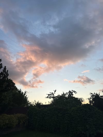 This is a photograph of a cloudy sky above a treeline and a fence in the Шчомысліцкі сельскі Савет, Belarus. The clouds are a mix of dark gray and light pink, illuminated by the setting sun. A few trees with dark green foliage are visible in the foreground, silhouetted against the sky. A brown fence runs horizontally across the middle ground, partially obscured by the vegetation. The ground below appears to be grass and some low-lying bushes.