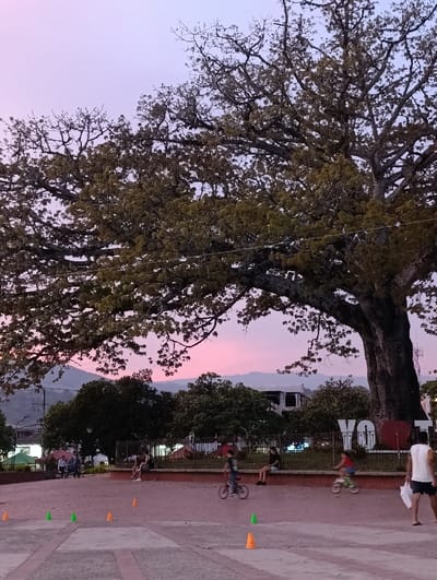 This image captures a public square or park in Timaná, Colombia, at dusk. The sky above transitions from a soft pink-orange at the horizon to a light purple-blue overhead. A massive, mature tree with a dense, partially-leafed canopy dominates the upper half of the frame and extends down the right side.

The foreground consists of a paved surface with interlocking light brown and grey pavers. Six small traffic cones are distributed on this surface: three green and three orange. In the midground, two children are actively riding small bicycles on the paved area, maneuvering between the cones. One child, wearing a dark top, rides a dark bicycle towards the left. Another child, in a reddish top, rides a lighter-colored bicycle towards the right. To the left, a group of approximately three individuals is visible under the trees, with at least two seated on a bench. Near the center, one person is seated on a low wall or bench facing away from the viewer.

Further back, a line of dense green trees and foliage separates the paved area from background elements. Behind these trees, portions of white buildings are visible. A large white sculpture spelling "YO" followed by a prominent red heart symbol and then "TI" is situated behind a fence and foliage. In the far background, silhouettes of mountains are visible against the twilight sky. A person wearing a white tank top and dark shorts walks towards the right on the paved surface, carrying a white plastic bag in their left hand, seen from behind. Faint power lines traverse horizontally across the mid-section of the large tree.