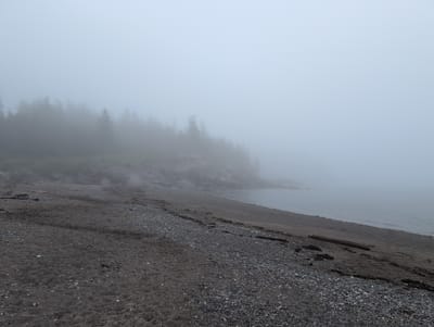 The image depicts a foggy, overcast day at a beach in Campobello Parish, Canada. The foreground is a sandy and pebbly beach, with a line of dark seaweed visible. A large piece of driftwood lies on the sand towards the right side of the frame. In the mid-ground, a rocky shoreline is visible, partially obscured by dense fog. Behind the shoreline, a dark, misty forest of evergreen trees stretches into the fog. The water is calm and appears grey, blending into the thick fog that dominates the background and the horizon. There are no people or animals visible in the scene.