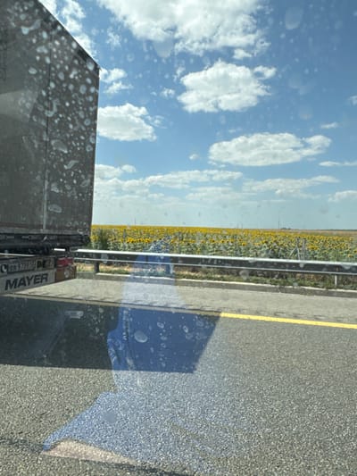 The image captures a roadside view from a vehicle, looking out over a vast field of sunflowers under a bright blue sky with scattered white clouds. The left side of the frame is dominated by the side of a large truck or trailer, its metallic surface showing numerous water spots or smudges. The rear of the truck's trailer, branded with "MAYER" and a license plate beginning with "EB 9739", is visible. A metal guardrail runs horizontally across the mid-ground, separating the road from the sunflower field. The road itself, paved with asphalt and marked with a yellow line, occupies the bottom portion of the image, reflecting the sky and what appears to be a blue object or person. The environment suggests a rural or agricultural setting, consistent with the location of Samarskoye, Russia, known for its agricultural landscapes. The overall scene is one of a sunny day, with the sunflowers in full bloom creating a vibrant yellow expanse.