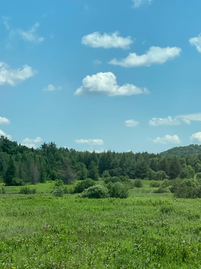 The media file depicts a serene natural landscape. The scene is divided horizontally, with the upper half showcasing a bright blue sky dotted with fluffy white clouds. The lower half reveals a lush, vibrant green field that transitions into a dense forest at the far left. Rolling hills covered in trees form the backdrop behind the field and forest. The overall impression is one of a beautiful, clear day in a rural or natural setting. The lighting suggests it is daytime, likely late morning or early afternoon given the brightness of the sky. The abundance of greenery and the clear sky indicate pleasant weather. No people, objects, or text are visible in the media file. The location context provided is Saint-André-Avellin, Canada, which aligns with the natural, possibly Canadian wilderness, scenery.