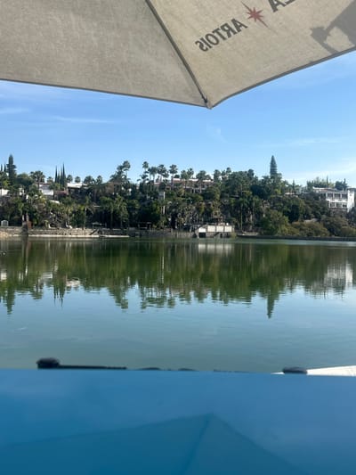 Still water reflects the lush green landscape of a hillside dotted with buildings. Palm trees are prominent among the foliage. The scene is framed by the corner of a light-colored umbrella on the left and a blue structure on the right, suggesting the viewer is seated nearby. The overall impression is one of calm and relaxation.