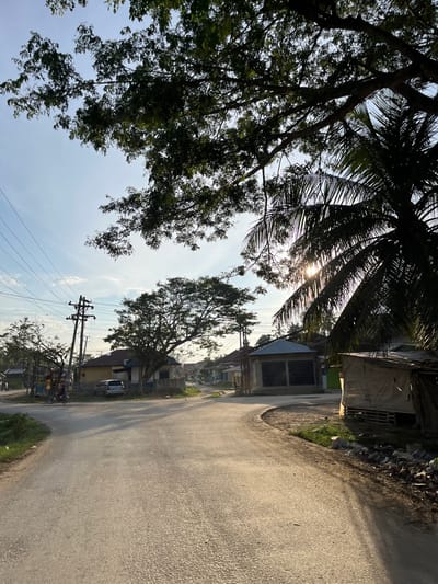 This is a medium-range, eye-level, full outdoor shot of a paved road curving through a rural residential area in Alurcucur, Indonesia. The time of day appears to be late afternoon due to the long shadows cast by the trees and structures.
In the foreground, the asphalt road is well-maintained and shows tire tracks and some debris along the edges. To the left of the road, there is a patch of grass. To the right, the edge of the road is lined with a mix of grass, dirt, and accumulated trash.
Further into the scene, on the left side of the road, a utility pole with multiple wires is visible. Behind it, a light-colored sedan is parked in front of a yellow-and-white house. A motorcycle with a rider is moving away from the viewer on the left side of the road.
Across the road, on the right, is a small, open-sided structure with a corrugated metal roof, supported by wooden pallets. Next to it is a longer, rectangular building with a gray, sloped roof and dark-colored doors or shutters. Further down the road, more houses and trees are visible.
Looming over the scene are large trees with lush green foliage. A prominent coconut palm tree on the right side of the frame partially obscures the sun, creating a sunburst effect and casting dappled shadows. The sky is a clear, pale blue with a few wispy white clouds. The overall impression is of a quiet, sun-drenched village street.