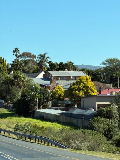 The image, taken in George, South Africa, depicts a view of buildings and vegetation from an elevated position. The sky is clear and blue. Several buildings with different roof types (flat, pitched, and tiled) are visible among trees and bushes. The vegetation includes various types of trees, with one notable tree displaying bright yellow foliage. A road runs alongside the buildings and vegetation, separated by a guardrail. The image appears to have been taken from a higher vantage point, such as an upper-level building or elevated ground.
