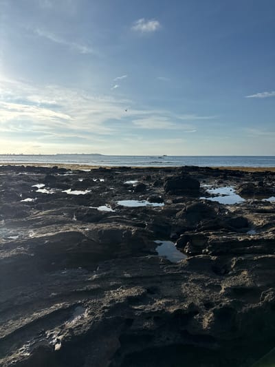 The image captures a rocky coastline on Lý Sơn Island, Vietnam, under a clear blue sky with sparse clouds. The foreground is dominated by dark, textured volcanic rocks, some of which are wet and reflective, forming tide pools. In the midground, a strip of wet sand or shallow water borders the ocean, which stretches to the horizon. Several small boats are visible in the distance on the water, and a faint landmass or island can be seen on the far horizon. The sun, partially obscured by clouds, casts light and shadows across the scene, highlighting the ruggedness of the rocks. A solitary bird is captured in flight against the bright sky. The overall impression is one of a serene, natural coastal environment.
