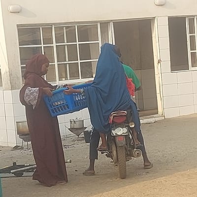 The scene depicts an outdoor setting in Gudi, Nigeria, in front of a white tiled building with multiple white-framed windows and an open doorway. The ground is unpaved, consisting of dirt. Four individuals are present. On the left, a person, likely female, wearing a long brown garment with lace-trimmed sleeves and a brown hijab, stands and holds a blue plastic perforated crate. She extends the crate towards a second individual. This second individual, also likely female, is seated on the rear of a red motorcycle, covered almost entirely by a long blue garment and hijab; she is also holding the blue crate, indicating an exchange or transfer. A third person, wearing a green shirt and possibly a red garment, is partially visible behind the second individual on the motorcycle. The fourth person, the driver of the motorcycle, is seated on the vehicle, wearing dark pants and flip-flops, with their feet on the ground. The motorcycle is stationary. In the background, to the left of the motorcycle, two cooking pots rest on metal stands on the ground. The motorcycle's rear features a visible exhaust pipe and a partially obscured green and white license plate.