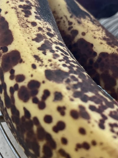 The image shows a close-up of two overripe bananas with brown spots, lying on a metal rack. The bananas appear to be in a domestic setting, possibly a kitchen, given the presence of the rack which could be a cooling rack or part of a grill. The lighting is natural and soft, highlighting the texture and color variations on the banana peels. There are no people visible in the image, and the focus is entirely on the fruit. The exact location in Albergaria-a-Velha, Portugal, cannot be determined from the visual information provided in the image.