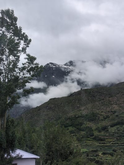The image depicts a cloudy mountain landscape with a prominent tree in the foreground and a building to the lower left. The scene is likely in the vicinity of Stingri, India, given the mountainous terrain and vegetation. The sky is overcast with thick, gray clouds, obscuring the sun.
In the foreground, a tall tree with lush green leaves dominates the left side of the frame. Its branches extend towards the center and right of the image. Partially visible beneath the tree and to the left is the roof of a building, appearing to be a house or a small structure with a white, corrugated metal roof. A sliver of a pinkish-purple wall is also visible.
The middle ground features a steep, green mountainside, sparsely covered with trees and shrubs. The terrain appears rugged and uneven, with hints of terraced fields or cultivation in the lower right portion of the image.
The background is characterized by a large mountain range, its peaks shrouded in dense white clouds and mist. Patches of snow are visible on some of the higher elevations, suggesting a cool, possibly high-altitude environment. The overall atmosphere is somber and diffused due to the heavy cloud cover. No people are visible in the image. The environment is natural and undeveloped, with the exception of the small building.