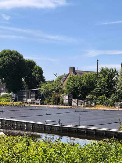 The image captures a nursery in Boskoop, Netherlands, under a clear blue sky with scattered white clouds. In the foreground, lush green foliage lines the edge of a body of water. A wooden structure with a gray railing runs along the water's edge, supporting pipes. Beyond this, a large, flat area is covered with dark material, likely a weed barrier, with small stakes or plants dotted across it. In the mid-ground, a dark wooden shed with a glass door and window stands next to a large, leafy green tree. Behind the shed and trees, houses with tiled roofs are visible, along with a brick chimney. To the right, a tall metal pole with a red marker at the top is present. Several wooden crates are stacked near the shed. A black bird-like object is in flight against the sky to the left of the pole. The overall scene suggests an outdoor commercial nursery environment on a sunny day.