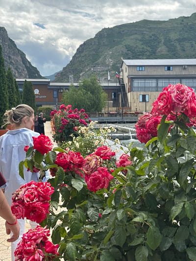 The image, correctly oriented upright, displays an outdoor scene dominated by large rose bushes in the foreground, with buildings and mountains in the background under a cloudy sky.
In the immediate foreground on the right, abundant clusters of vibrant red and white variegated roses are prominent, some showing signs of browning petals. Dark green foliage frames the flowers. A woman with blonde hair, tied back, wearing a light blue collared shirt, is seen from her back and side on the right, reaching her right hand towards the roses. A red string bracelet is visible on her wrist.
In the mid-ground, behind the flowers and the woman, several buildings are visible. One has a modern design with light-colored siding, large windows, stairs, and balconies. Further back, another building with a darker facade features the Cyrillic text "ОИ ЦЕНТР" (likely "OI Center" or "Business Center") on its side. A small Russian flag (white, blue, red) is seen flying on a pole near one of the structures. A few other people are visible in the mid-ground, standing or walking, suggesting a public or recreational area.
The background features towering, rugged mountains covered with some vegetation, meeting a sky filled with a mix of white and grey clouds.
The scene captures a daytime moment, likely late morning or afternoon, with natural lighting. The weather appears fair but cloudy. The setting, with mountains and buildings that could be part of a resort or public complex, aligns with the provided location context of Miatli, Russia. The overall mood is one of leisure and enjoying nature.