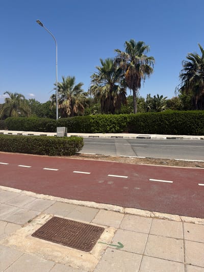 The image depicts a scene in Pervolia, Cyprus. A paved road runs horizontally across the frame, with a distinct red-colored bicycle lane in the foreground. The bicycle lane is marked with white dashed lines. To the left of the road, a sidewalk made of square concrete tiles is visible, featuring a metal manhole cover. A green arrow is painted on the sidewalk, pointing to the right. Beyond the road and sidewalk, a meticulously maintained hedge forms a barrier, separating the pedestrian area from the road and a line of palm trees. In the background, a tall lamppost stands on the left side of the frame, and a dense line of lush green trees and more palm trees stretches across the horizon under a clear blue sky. The environment suggests a warm, sunny day.