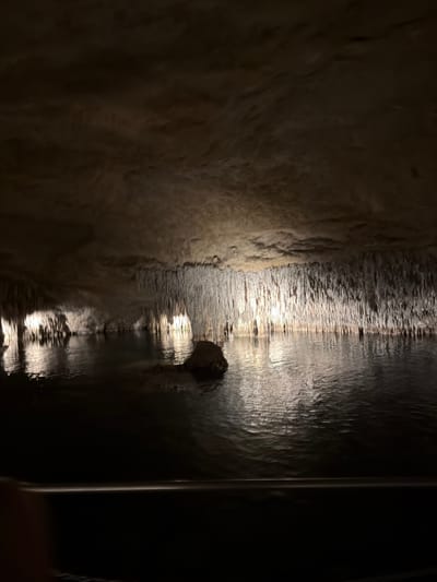 The image shows a rock formation inside the Caves of Drach in Manacor, Spain. Light reflects on the rock surface and the dark water below, creating a shimmering effect. The composition is vertically oriented. A portion of the cave wall is visible to the left and a dark void is on the right.