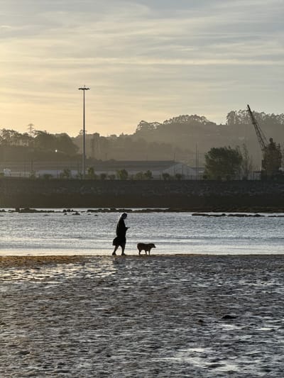 The image captures a person walking a dog on a sandy shore beside a body of water. The scene is set during a low light condition, possibly sunrise or sunset, with the sky displaying a gradient of pale yellow and blue hues. A tall, illuminated pole stands prominently in the background, along with industrial structures and trees silhouetted against the sky. A large crane is also visible in the distance. The foreground consists of wet sand, reflecting the light and creating a textured surface. The water appears calm, with some rocks breaking the surface near the shore. The individual is seen in profile, wearing dark clothing and walking to the left of the frame, with a smaller, light-colored dog walking beside them. The overall impression is one of a tranquil, possibly coastal, urban environment.