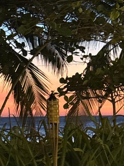 The image displays a coastal scene at sunset, observed from a vantage point within dense tropical vegetation in Veintisiete de Abril, Costa Rica. The sky presents a gradient of colors, transitioning from deep orange and red hues near the horizon to pink and light blue tones overhead. A dark blue body of water, consistent with an ocean, extends across the mid-background with a visible horizon line. The foreground is heavily populated by silhouetted tropical foliage, including prominent palm fronds on both sides and tall, dense grasses in the immediate bottom section. Centrally positioned in the mid-ground is a light-colored, woven tiki torch. Perched directly atop this torch is a small, dark, humanoid figurine, appearing to wear a wide-brimmed hat and a cloak. No other human or animal subjects are present or actively interacting within the depicted scene.