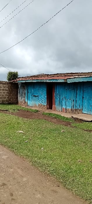 The scene depicts an exterior view of a single-story building located in Gatakaine, Kenya, under a heavily overcast sky. The building features walls constructed from weathered, vertically arranged wooden planks, painted a faded light blue with extensive paint peeling and exposed natural wood. A rectangular doorway with a dark reddish-brown frame is visible towards the center-right, revealing a dark, obscured interior. The roof is made of corrugated metal, appearing reddish-brown. To the left, an unpainted wall constructed from stacked concrete blocks abuts the building. The foreground consists of a patch of green grass separating the building from a dirt path or road on the left. A narrow, irregular dirt track runs across the grass directly in front of the structure. Multiple thin, dark utility lines are visible traversing the cloudy sky overhead. No individuals or active events are present within the frame.