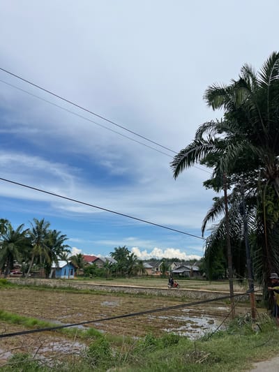 The image depicts a rural landscape with a clear blue sky filled with wispy white clouds. In the foreground, a muddy rice field is visible, with some patches of green grass and stagnant water. Several power lines stretch across the scene, supported by wooden poles. To the right, a man wearing a hat and a yellow and black shirt is seen interacting with the power lines. In the midground, a dirt road runs along a low stone wall, and a motorcycle carrying two people is traveling on it. Beyond the road, a cluster of houses with various roof colors, including blue and red, are situated amidst palm trees and other vegetation. The overall setting appears to be a village in Seunebobaru, Indonesia, characterized by its agricultural land, residential structures, and the presence of infrastructure like power lines.