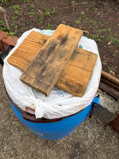 The image depicts a blue plastic trash can, mostly obscured by a white plastic bag filled with an indistinguishable object. Three pieces of weathered wood lay on top of the bag. The background consists of dirt with sparse vegetation, brick fragments, a piece of wood, and a concrete surface. No people are visible. The location is not discernible as Radomir, Bulgaria.