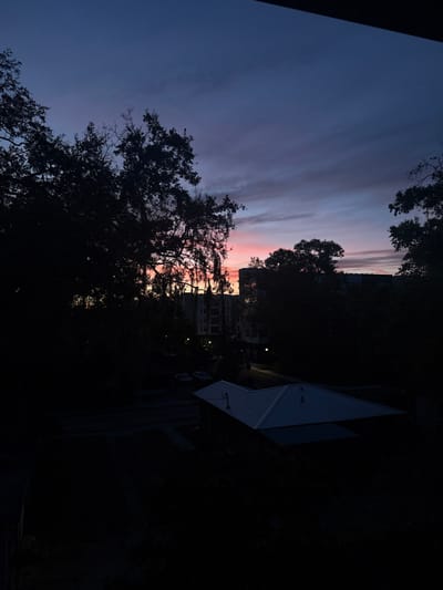 The image displays an urban landscape in Gainesville, United States of America, during twilight, characterized by low light conditions and artificial illumination. The upper sky transitions from deep blue to purple, then to a vivid pink and orange hue at the horizon, with horizontal cloud streaks present. Numerous trees with dense, silhouetted foliage, some exhibiting hanging moss-like growth, frame the scene and partially obscure background elements. In the background, multiple multi-story buildings, possibly residential or commercial, are visible, with some interior lights illuminated. The midground features a dark asphalt surface, likely a road or parking lot, containing two indistinctly dark-colored vehicles and an illuminated streetlight. A prominent angular structure with a light-colored, metallic roof is visible in the lower midground. The immediate foreground is heavily shadowed and indistinct. No individuals are present in the scene.