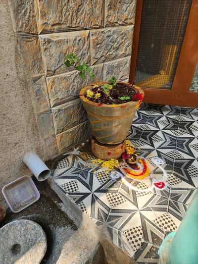 The image displays an outdoor or semi-outdoor domestic area in Pedda Kammavaripalli, India, under direct daylight. A grey, conical, ribbed plant pot, containing soil, a small green plant, and scattered yellow and red flower petals, is centrally positioned on a patterned tiled floor. The pot rests on a smaller, cylindrical stand. An incense stick protrudes from the soil. On the tiled floor, a multi-colored Kolam (Rangoli) design, created with white, yellow, and red powder, surrounds a small, lit brass oil lamp. Yellow flower petals are scattered around the lamp and Kolam. The tiled floor features a black, white, and grey geometric star-like pattern. To the right, a dark brown wooden frame with a mesh screen is visible, suggesting a door or window. Behind the plant pot, the wall is covered with rough-textured, rectangular stone-patterned tiles in shades of brown and grey. To the left, the tiled area transitions to a coarser, light brown stucco wall and a darker, rough ground surface. On this rough ground, a short section of a white PVC pipe lies horizontally, beside a translucent square plastic container. A circular grey stone object with a central bore hole is partially visible in the lower left corner. A vertical greenish-blue object is partially visible on the far right edge of the frame. No individuals are present.