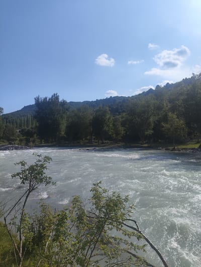 This image captures a scenic view of a fast-flowing river in Kashka-Suu, Kyrgyzstan. The river, with its turbulent, white-capped waters, dominates the foreground and midground. On the far bank, a dense forest of lush green trees covers the slopes of a mountain that rises majestically towards the sky. The trees are varied, with some appearing as tall, slender conifers and others as broader, deciduous trees.

The sky above is a clear, bright blue with a few wispy white clouds scattered across it. The sunlight suggests it is daytime, likely late morning or early afternoon, given the brightness and the shadows cast. The overall mood is tranquil and natural, showcasing the pristine beauty of the mountainous landscape.

In the immediate foreground, on the left side, is a cluster of green foliage and branches of a tree, adding a sense of depth and perspective to the scene. The riverbanks are rocky in some areas, particularly to the left of the frame, where debris and stones are visible. There is no visible text in the image. The scene depicts a natural, outdoor setting, with no people or man-made objects immediately apparent. The activity is primarily the natural flow of the river.