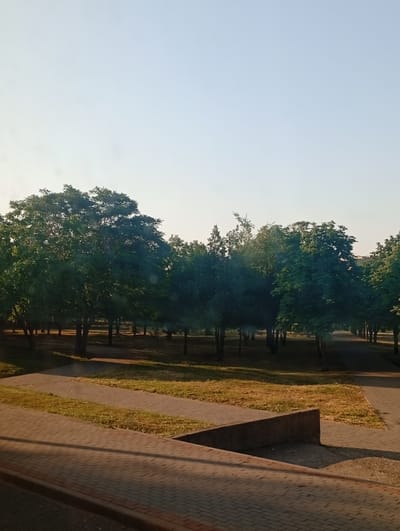The image depicts a park scene in Pokrov, Ukraine, bathed in the soft light of either early morning or late afternoon. The foreground features paved walkways constructed with interlocking bricks. One walkway runs diagonally from the bottom left corner towards the center, and another path, also paved, intersects it and leads further into the park. Between these walkways and adjacent to them is a strip of dry, yellowish grass with scattered white flowers. A low, concrete structure with a rough texture is visible in the mid-ground, casting a shadow on the paved area.
Beyond the walkways, the park transitions into a densely wooded area. Numerous trees of varying heights and foliage density populate the scene, with their trunks casting long shadows on the ground. The trees are primarily deciduous, with lush green canopies, though some narrower, conifer-like trees are also present. The ground within the wooded area appears to be covered in dry leaves and sparse vegetation. In the distance, the trees thin out, and a hint of a building with a pitched roof can be observed through a gap in the foliage, suggesting the park is situated within or on the edge of an urban environment. The sky above is a clear, pale blue, devoid of clouds. No people or animals are visible in the frame. The overall impression is one of a serene, well-maintained public park.
