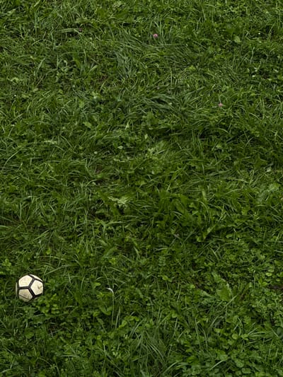 The image shows a high-angle view of a grassy area with a white and black soccer ball in the lower left corner. The grass is lush and green, with some small wildflowers interspersed. The scene appears to be an outdoor setting, possibly a park or a field. There are no people or animals visible in the image. The lighting suggests it is daytime. The location is identified as Berdyash, Russia, but there are no specific landmarks to confirm this within the image itself.