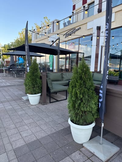 The image depicts an outdoor seating area of a establishment with a modern architectural design, located in Grushovaya Balka, Russia. The foreground features a paved walkway made of gray square tiles, with two large white planters each containing a conical green evergreen tree. To the right of the trees, a dark gray flag stands erect on a metal pole with a concrete base. Behind the planters, a low wooden deck area is visible, furnished with dark green outdoor seating. The establishment itself has a light beige facade with vertical dark red and white stripes, large windows, and an upper-level balcony with a glass railing. A string of yellow globe lights spans across the exterior, casting a warm glow. Trees with yellowing leaves are present in the background, suggesting a temperate season. The overall scene conveys an inviting atmosphere for outdoor dining or relaxation.