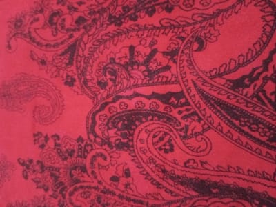 A close-up reveals a fabric with a red background intricately patterned with a dark paisley design. The paisley motifs vary in size and density, creating a visually rich texture. Delicate curves and flourishes define the pattern, suggesting a fine print on a soft textile. The color contrast between the red and dark paisley adds depth and dimension to the overall design.