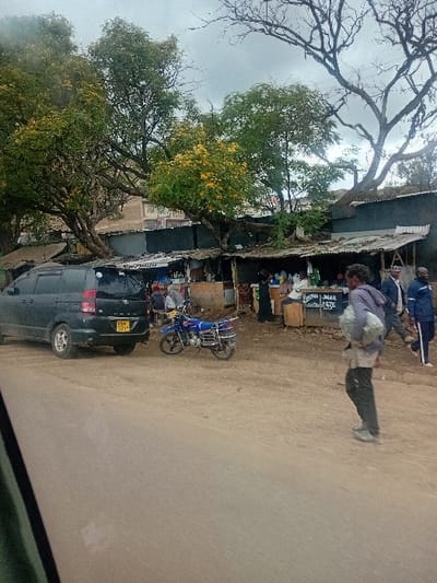 This image depicts a roadside scene in Nanyuki, Kenya, under an overcast sky. The foreground consists of an unpaved dirt road. On the left, a dark-colored minivan, registration KBN 525M, is parked facing away from the viewer. Adjacent to it, a blue motorcycle with a chrome luggage rack is parked facing right. Along the right side of the road, several makeshift market stalls or shops with corrugated metal roofs and exposed wooden supports are visible, displaying various goods. A partial sign above one stall contains the word "BEER." In the right foreground, a male subject, wearing a grey hoodie, dark trousers, and light sneakers, walks rightward while carrying a large light-colored bundled item over his left shoulder. Further back on the right, two additional male subjects walk along the roadside, one in a dark blue jacket. Within and around the market stalls, approximately 5-7 individuals are observed standing or sitting, indicating commercial activity. Large trees with green foliage and yellow blossoms, as well as a large bare-branched tree, frame the upper portion of the scene.