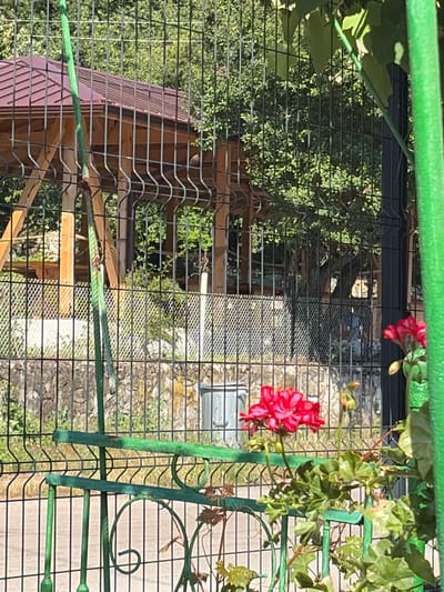 The image depicts a view through a black metal fence with green accents, showcasing a wooden gazebo with a dark brown, sloped roof in the background. The gazebo is supported by visible wooden beams. Beyond the gazebo, dense green foliage from trees creates a natural backdrop. In the foreground, vibrant red geraniums are blooming, adding a splash of color to the scene. A portion of a larger green metal post is visible on the right side of the frame. The overall setting appears to be an outdoor space, possibly a garden or park area, in Svetlia, Bulgaria.