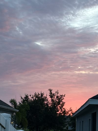 A dusk sky with hues of pink, purple, and gray fills the upper portion of the image, with scattered clouds. Silhouetted trees and parts of two houses are visible in the lower half, suggesting a suburban or residential setting. The location is identified as Parrish, United States.