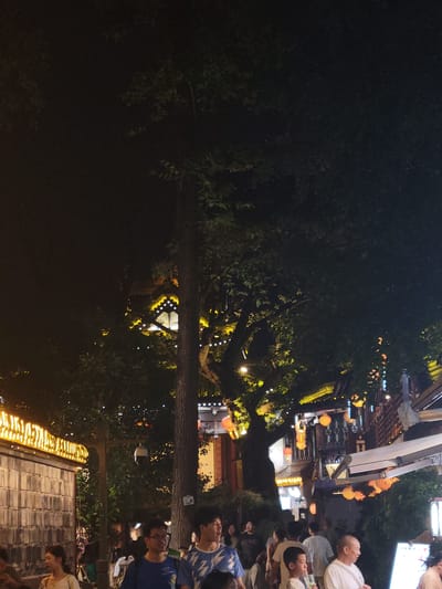 The image captures a nighttime scene in Wuhou District, China, featuring a street lined with traditional architecture and illuminated by various lights. A group of people are walking along the street, some are looking at something off-camera, and others are engaged in conversation. The architecture displays ornate details with yellow and white lights accentuating the eaves and windows. Red and yellow lanterns hang from the buildings and trees, adding to the festive atmosphere. Dense foliage from large trees partially obscures the view of the buildings and sky, casting shadows on the scene. The ground is paved, and there are visible street lamps and decorative lights. The overall impression is that of a bustling street during an evening event or gathering.