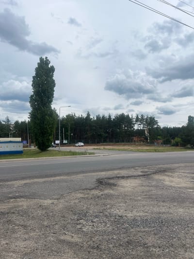 The image shows a wide, paved road in what appears to be an industrial or semi-rural area. The road is in fair condition with some potholes and uneven surfaces visible in the foreground. On the right side of the road, there is a patch of gravel and dirt, indicating undeveloped land or a construction site. A dense line of tall pine trees forms a backdrop across the middle ground of the image, with some brick buildings and a fence visible behind them. A tall, slender, deciduous tree stands prominently in the left-center of the frame, in front of the pine forest. The sky is overcast with dramatic, dark gray clouds. A few cars are present, including a white sedan on the right side of the road and a dark-colored car on the left. On the far left, a small, light-blue modular building with yellow accents is situated near the road. Electrical wires are visible stretching across the top of the frame. The location is identified as Malyshevo, Russia.