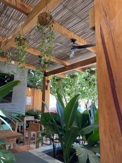 The image depicts an open-air patio area in Puerto Escondido, Mexico. The scene is shot from a low angle, looking up at a bamboo-covered roof structure supported by wooden beams. Hanging from the beams are several potted plants with trailing vines. A ceiling fan with black blades is attached to one of the beams and is in motion.
Outside the roof structure, lush tropical foliage is visible. In the background, glimpses of the city can be seen. The patio area has wooden chairs and tables. A concrete wall with built-in planters further defines the space.