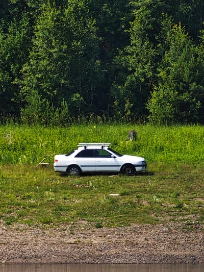A white sedan with a roof rack is parked on a grassy embankment. The car is facing to the right. Behind the car, a dense forest of green trees forms a backdrop. In front of the car, the embankment slopes down towards a body of water, with a rocky shoreline visible at the bottom of the image. The scene appears to be a natural landscape, possibly a park or a roadside in a rural area. There are no people visible in the image. The weather appears to be clear and sunny, judging by the bright lighting and the vibrant green of the vegetation. The location is identified as Pogodaevo, Russia.