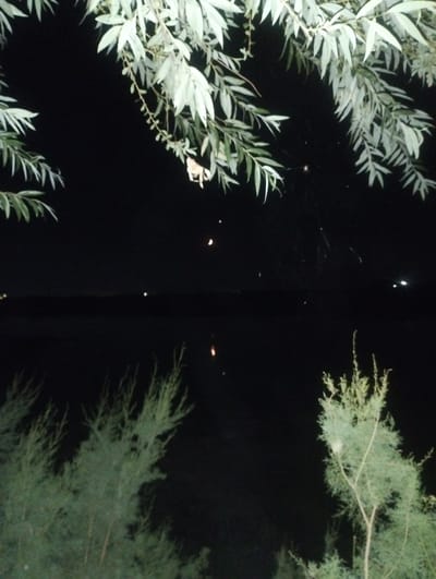 This is a nighttime photograph taken in Yangi Chinoz, Uzbekistan. The scene is dominated by the dark night sky, with the faint glow of distant lights visible on the horizon. In the foreground, the branches of a tree with pale green leaves hang down, silhouetted against the blackness. The leaves are detailed and appear to be elongated and pointed. Further down, there are also some wispy green shrubs or trees in the lower part of the frame.
The image captures a still and quiet moment, possibly at a lake or body of water, as a dark, flat expanse is visible across the middle of the frame, reflecting some faint light. There are a few small, bright specks in the sky, possibly stars or very distant lights. One particularly notable detail is a crescent-shaped object in the sky, which appears to be the moon. The overall mood is serene and slightly mysterious, with the darkness punctuated by the subtle lights and the ethereal glow of the foliage. No people or specific objects are clearly identifiable, and there is no visible text.