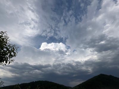 A dramatic sky filled with a mix of light and dark clouds looms over a landscape of rolling hills covered in dark green trees. The clouds are dynamic, with some areas of bright white, suggesting sunlight breaking through, while others are dark and heavy, hinting at approaching rain. A few thin, dark power lines stretch horizontally across the frame in the mid-ground, adding a man-made element to the natural scene. In the upper left corner, a small, dark bird is visible in flight. The foreground features the dark, leafy branches of a tree on the left side, obscuring part of the view. The overall impression is one of impending weather, with a sense of natural power and a vast, open sky. The time of day appears to be late afternoon or early evening, given the lighting conditions. The location is identified as Mezhdurechensk, Russia. There is no visible text in the image.