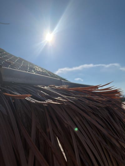 The image is a close-up shot of a thatched roof, likely from a beach umbrella or hut, with dried palm leaves dominating the foreground. The sun is bright and high in the sky, casting a lens flare that radiates outwards. The sky is a clear blue with a few wispy white clouds. The texture of the dried leaves is rough and varied, with some appearing reddish-brown and others a darker brown. In the background, there is a hint of a beach scene, with what appears to be sand and possibly distant structures, suggesting an outdoor location. The image's perspective is angled, looking up towards the sky from beneath the thatch. The location in Bac Cam Ranh Ward, Vietnam, implies a tropical or coastal setting where such thatched structures are common.