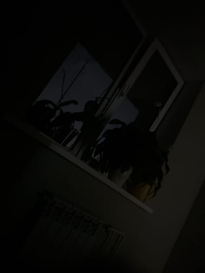 A dimly lit interior scene shows a windowsill with several potted plants. The plants are silhouetted against a dark window, with a sliver of lighter sky visible through the glass. A white radiator is positioned below the windowsill. The overall lighting suggests it is nighttime or a very dark day. The location is not specified in the image.