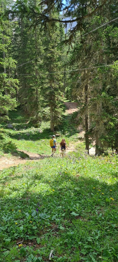 Two people are walking along a dirt path through a forest. The person in the foreground is wearing a yellow vest and blue shorts, and is carrying a backpack. The person behind them is wearing a dark t-shirt and shorts. The path is surrounded by trees, with dense green foliage on either side. The ground is covered in grass and small wildflowers, with patches of sunlight filtering through the trees. The scene suggests a hike or trail walk in a natural, wooded environment. The lighting indicates it is daytime, likely with clear or partly cloudy skies. The location context of Auronzo di Cadore, Italy, suggests a mountainous or alpine setting. There is no visible text in the image.