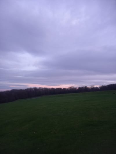 A landscape displays a stark contrast between sky and land. A cloudy, lavender-hued sky dominates the left side of the frame. On the right, a field of vibrant green grass stretches into the distance, partially obscured by a dark line of trees along the horizon. A hint of sunset is visible between the trees and sky. The image is rotated, so the sky appears on the left instead of above.