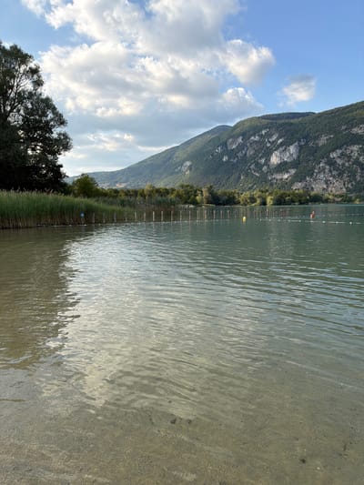 The image depicts a serene lake scene in Novalaise, France. The sun is likely high in the sky, as suggested by the bright lighting and the presence of some clouds, indicating fair weather. The lake's surface is rippled, reflecting the sunlight and the surrounding lush green mountains. The water appears clear and shallow near the shore, with the sandy bottom visible.
Along the shoreline, a line of wooden posts, possibly part of a swimming area marker or a small pier, extends into the water. Dense reeds and grasses grow along the bank, adding to the natural beauty of the setting. In the distance, a chain of mountains covered in dense green vegetation rises majestically. The sky is a clear blue, punctuated by scattered white clouds.
There are no people clearly visible in the main focus of the image, though a small reddish-brown object in the distance on the water could potentially be a person or an animal. The overall mood is peaceful and tranquil, evoking a sense of nature's calm beauty. The scene captures a typical summer day by the lake.