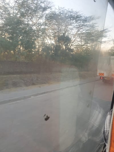 A view from a vehicle window shows trees passing by on a roadside. The landscape blurs with the motion, giving a sense of travel. Inside the vehicle, a plaid shirt is partially visible, suggesting someone is observing the passing scenery. A few dark spots are present on the glass, likely dirt or imperfections. The road is also visible, indicating the route of the journey.