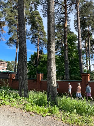 The image depicts a scene on a sunny day in Zelenogorsk, Russia, likely in a residential area with mature pine trees lining a brick fence. In the foreground, a gravel path is visible, bordered by lush green vegetation and pine cones. Behind the vegetation, a red brick fence with decorative brick pillars runs horizontally across the frame, topped with a black metal railing. A large pine tree trunk dominates the left side of the image, with several other tall pine trees extending upwards into the bright blue sky.
To the right of the fence, a group of four individuals are walking on a paved walkway. The person furthest to the left appears to be wearing a dark jacket and possibly shorts. The second person from the left is a young woman in a white tank top, light blue shorts, and a light blue baseball cap, walking with her head down. The third person is a woman wearing an orange t-shirt, a blue skirt, and a beige baseball cap, walking alongside the second person. The fourth person, furthest to the right, is a woman in a denim jacket and a floral-patterned skirt, walking slightly ahead of the others.
In the background, beyond the trees and fence, parts of buildings are visible, including a light-colored building with a brown roof and windows, suggesting a residential or institutional setting. The overall impression is a serene, tree-lined street in a suburban or park-like environment.